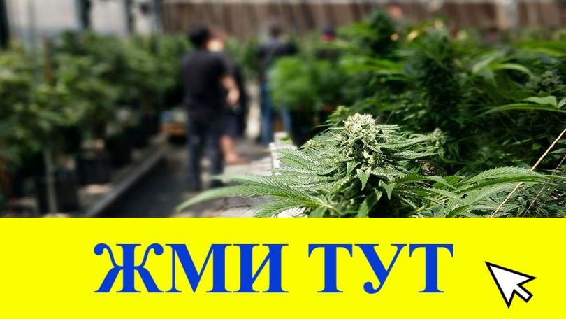 Купить наркотики в Мытищах